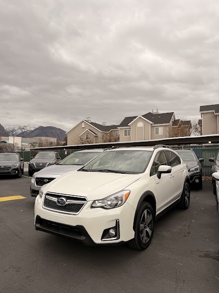 APEX AUTO SALES dealership