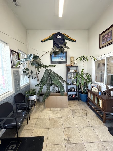 Dynamic Collision Repair dealership