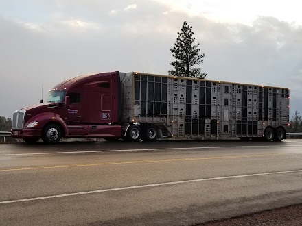 Gurney Trucking Inc dealership