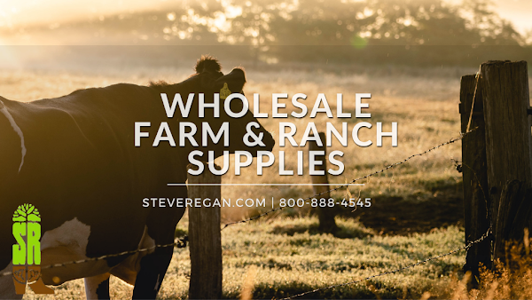 Steve Regan Company dealership